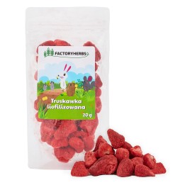 Factoryherbs Truskawka Liofilizowana dla Gryzoni