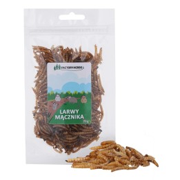Factoryherbs Larwy mącznika dla Gryzoni