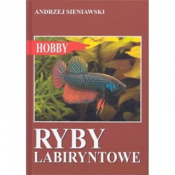 Książka Hobby Ryby Labiryntowe