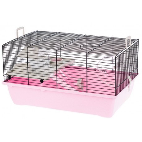 Inter-zoo KLATKA Pinky 1 Color dla Gryzoni
