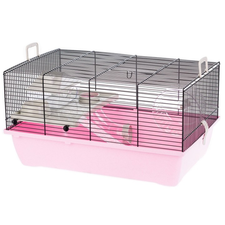 Inter-zoo KLATKA Pinky 1 Color dla Gryzoni