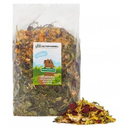 Factoryherbs Nie byle badyle dla Świnki Morskiej 1kg