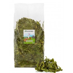 Factoryherbs Liście mniszka lekarskiego dla Gryzoni 300g