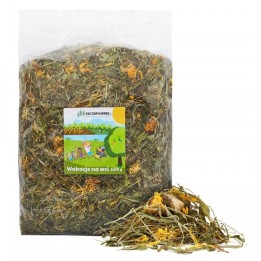Factoryherbs Wakacje na wsi Mieszanka ziołowa dla Gryzoni 1,5kg