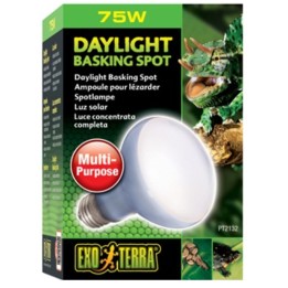 Exo terra ŻARÓWKA DZIENNA Daylight Basking Spot R20/75W do Terrarium