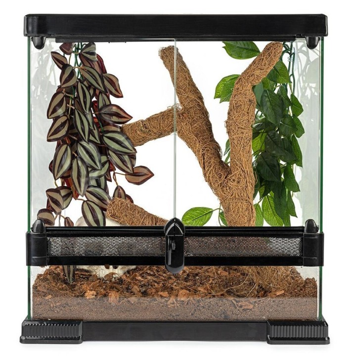 Happet Troncho Gałąź Kokosowa S Terrarium
