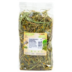 Ham-Stake Polna przekąska z chabrem dla Królików i Kawii