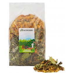 Factoryherbs MIESZANKA ZIÓŁ Podtswowych dla Gryzoni 500g