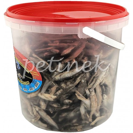 Katrinex POKARM SUSZONA STYNKA dla Żółwi Wodnych i Ryb 5000ml