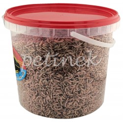 Katrinex GAMMARUS SUSZONY Pokarm dla Żółwi i Ryb 5000ml XL