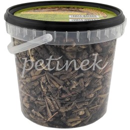 Katrinex KONIK POLNY Pokarm dla Gadów 1000ml