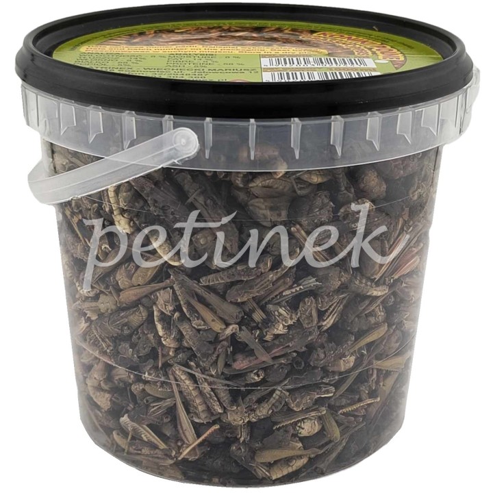 Katrinex KONIK POLNY Pokarm dla Gadów 1000ml