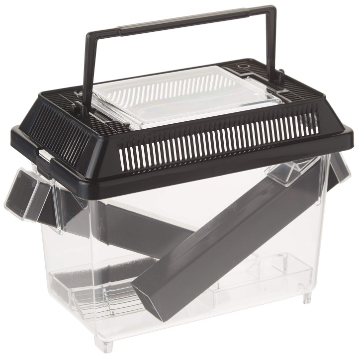 Exo Terra BOX TERRARIUM do HODOWLI ŚWIERSZCZY