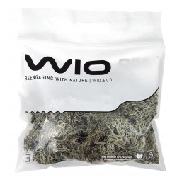 WIO Bits Lichen POROST DEKORACYJNY do Terrarium
