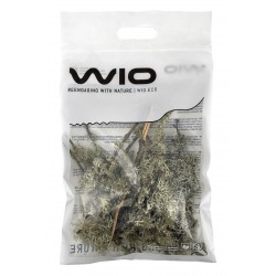 WIO Branches Lichen POROST DEKORACYJNY PATYKOWATY do Terrarium
