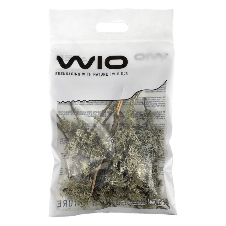 WIO Branches Lichen POROST DEKORACYJNY PATYKOWATY do Terrarium