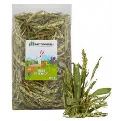 Factoryherbs ZIELE PSZENICY dla Królików i Gryzoni 100g