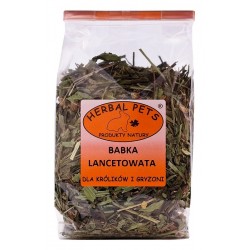 Herbal Pets Babka Lancetowata dla Królików i Gryzoni