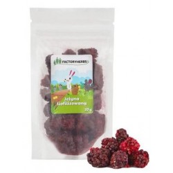 Factoryherbs Jeżyna Liofilizowana dla Gryzoni