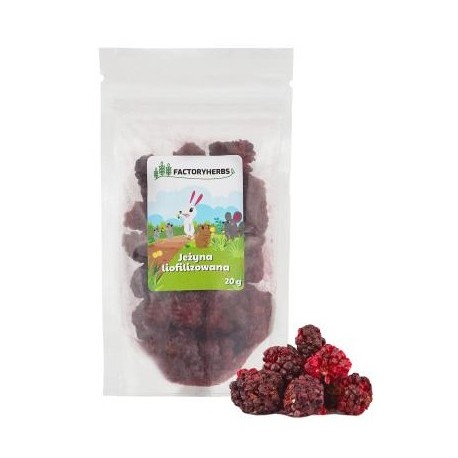 Factoryherbs Jeżyna Liofilizowana dla Gryzoni
