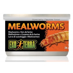 Exo Terra MĄCZNIKI SUSZONE Pokarm w Puszce dla Gadów i Płazów