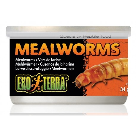 Exo Terra MĄCZNIKI SUSZONE Pokarm w Puszce dla Gadów i Płazów