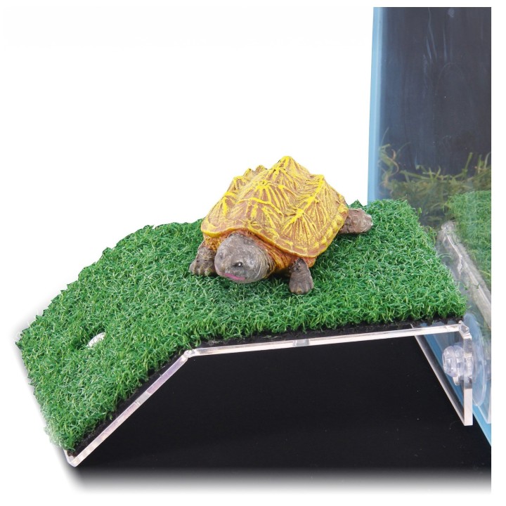 Terra Natura PLATFORMA AKRYLOWA Z TRAWĄ Dekoracja do Akwarium 18,5x12