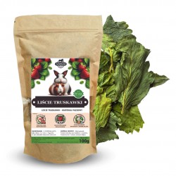Samfarm LIŚCIE TRUSKAWKI dla Królików i Gryzoni 100g