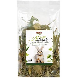 Alegia ZIELONE ZIÓŁKA dla Królika 100g