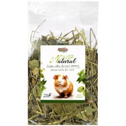 Alegia ZIELONE ZIÓŁKA dla Kawii Domowej 100g