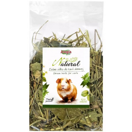 Alegia ZIELONE ZIÓŁKA dla Kawii Domowej 100g