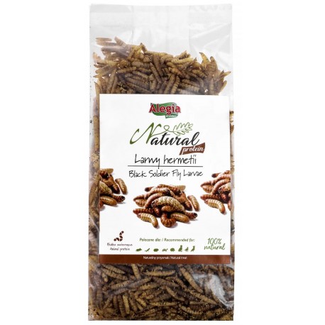 Alegia LARWY HERMETII dla Gadów,Gryzoni i Ptaków