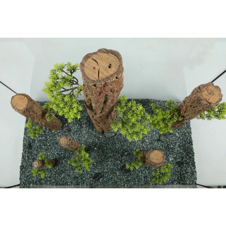 Zolux DEKORACJA DRZEWO FOREST XS do Akwarium