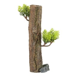 Zolux DEKORACJA DRZEWO FOREST XS do Akwarium
