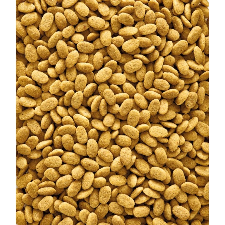 Versele Laga NutriBird P15 Original POKARM Granulat dla DUŻYCH PAPUG 3kg