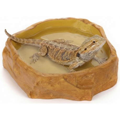 Happet BASEN DUŻA MISKA dla Gadów,Płazów i Bekręgowców do Terrarium