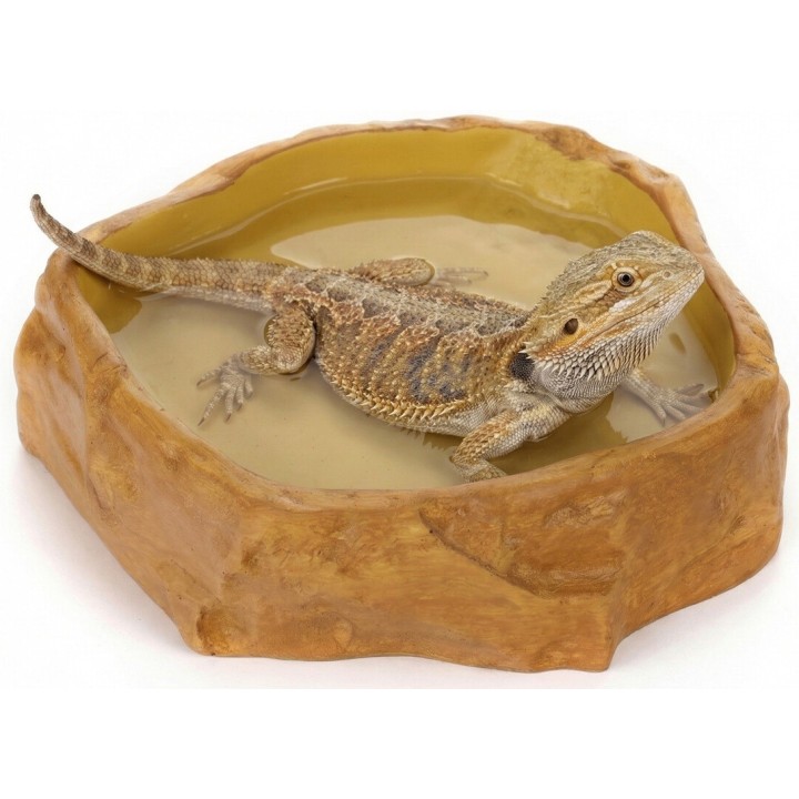 Happet BASEN DUŻA MISKA dla Gadów,Płazów i Bekręgowców do Terrarium