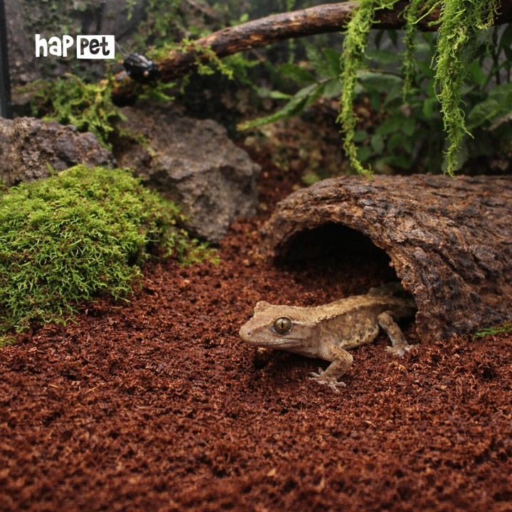 Happet Coco Loose PODŁOŻE KOKOSOWE LUŹNE do Terrarium 10L
