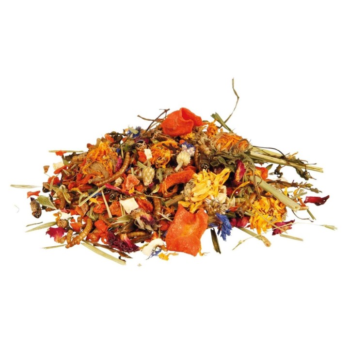 Exo Terra KARMA Mix Naturalnego Pożywienia dla Agamy Brodatej 100g