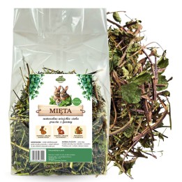 Samfarm MIĘTA ZIELE dla Królików i Gryzoni 1kg