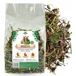 Samfarm MIĘTA ZIELE dla Królików i Gryzoni 1kg
