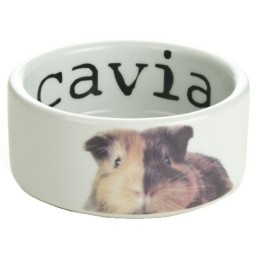 Beeztees MISECZKA CERAMICZNA Snapshot dla Świnki Morskiej