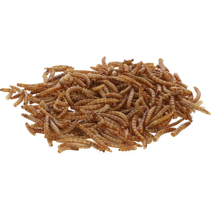 Kerbl SUSZONE LARWY MĄCZNIKA 900g
