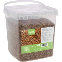 Kerbl SUSZONE LARWY MĄCZNIKA 900g