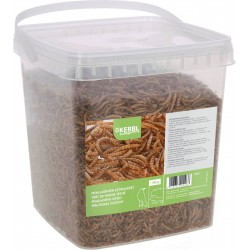 Kerbl SUSZONE LARWY MĄCZNIKA 900g