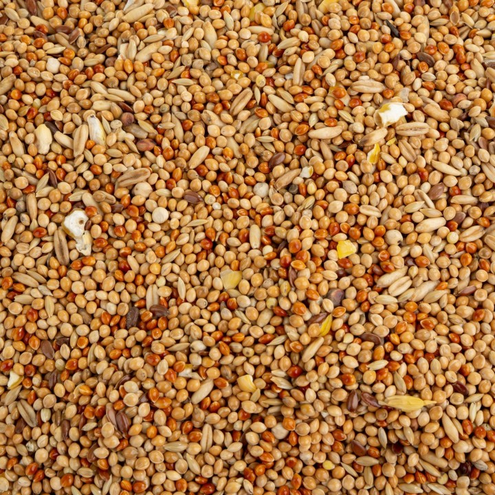 Vitapol Vita Grow KARMA dla MAŁYCH PAPUG 10kg