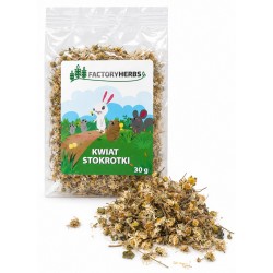 Factoryherbs KWIAT STOKROTKI dla Królików i Gryzoni