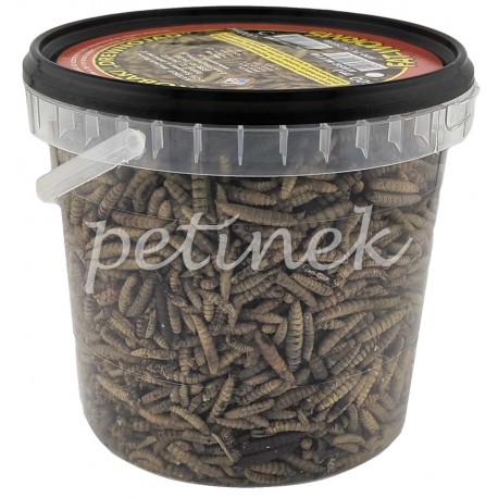 Katrinex DREWNOJADY Pokarm dla Gadów 3000ml