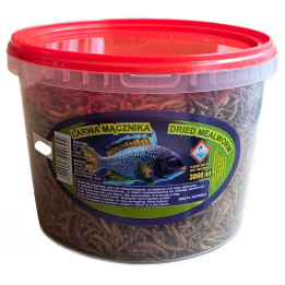 Katrinex POKARM LARWY MĄCZNIKA dla Gadów i Ryb 3000ml