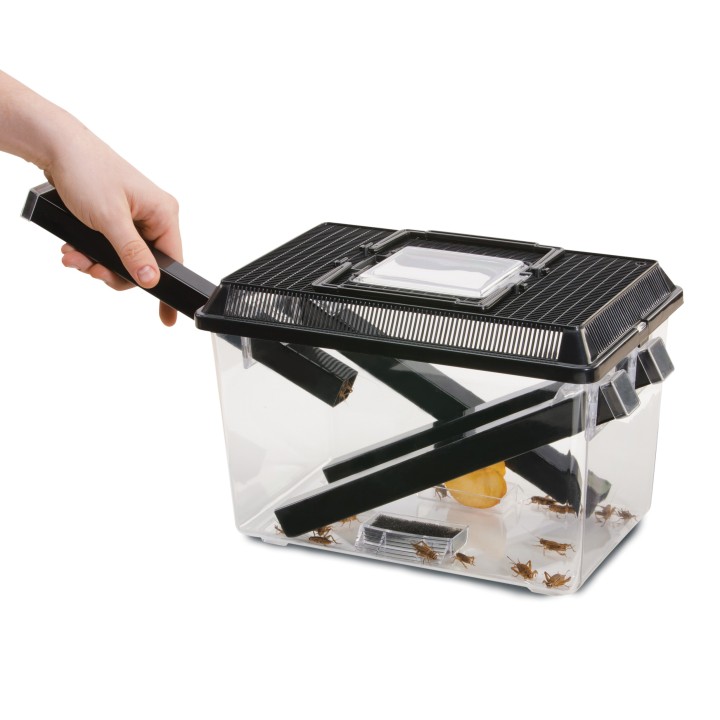 Exo Terra BOX TERRARIUM do HODOWLI ŚWIERSZCZY